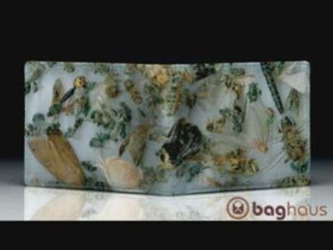 DB Clay Version 3.1 Wallets