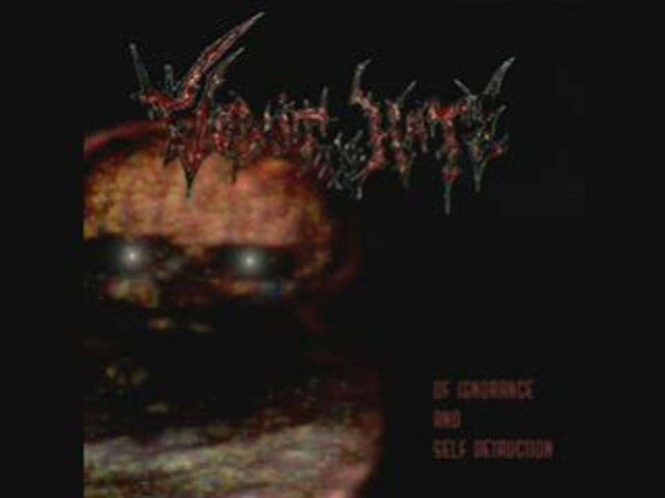 Vomit the hate _ illumination ( + intro )