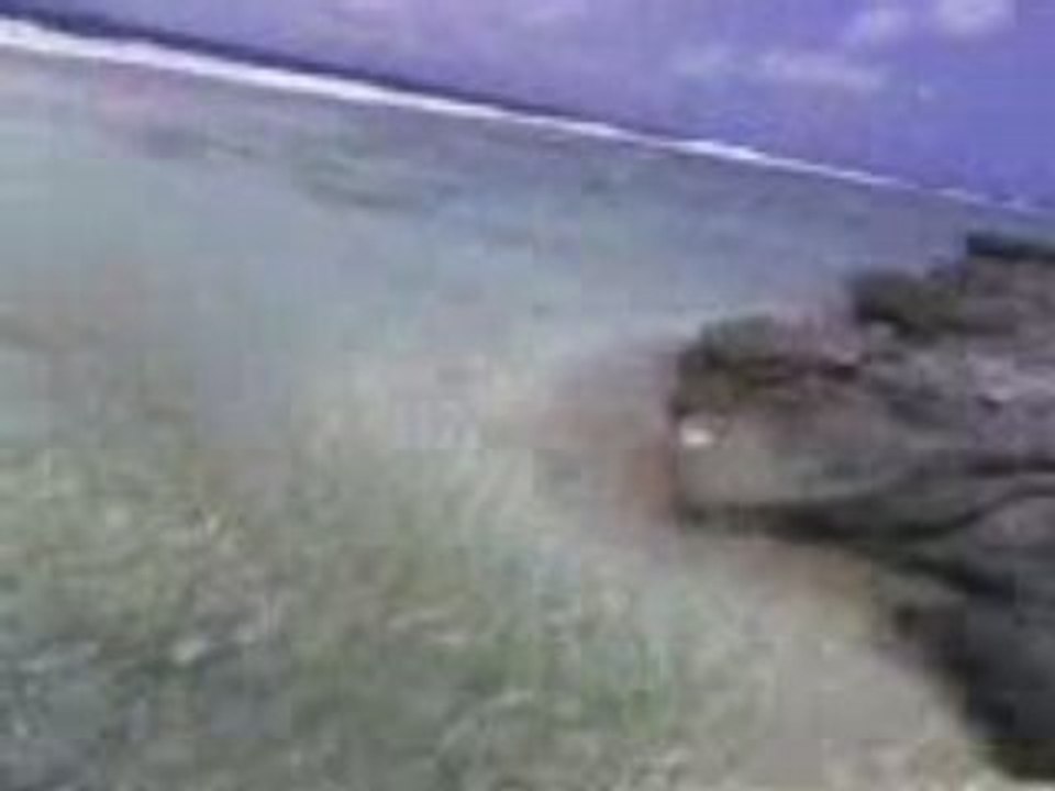 balade en quad et jet ski bora bora,