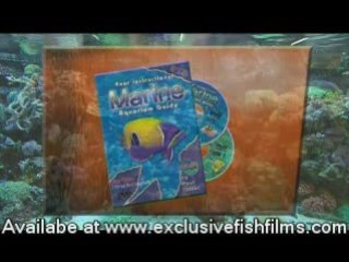 Instructional Marine Aquarium DVD