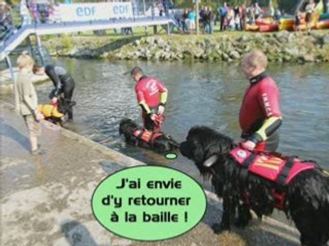 La fête du Val de Scarpe à Saint Laurent Blangy