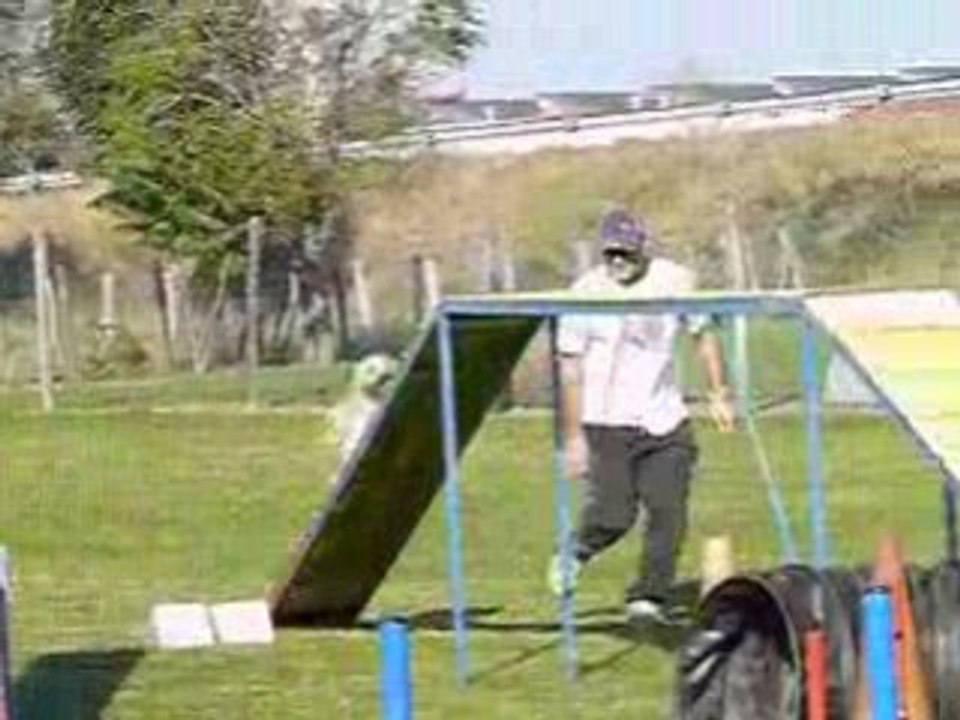 Bulleagi3