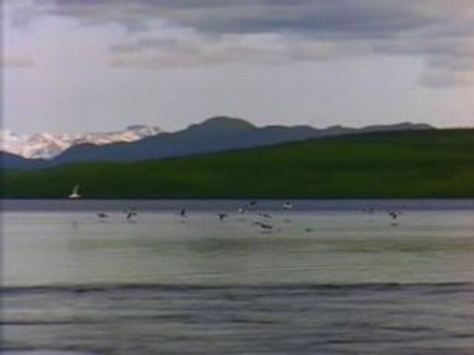 Torrance Home Search Email Alert