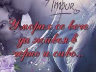 Искам да те видя отново