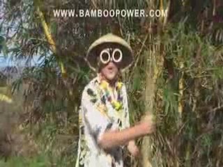 Bamboo, a Renewable Resource