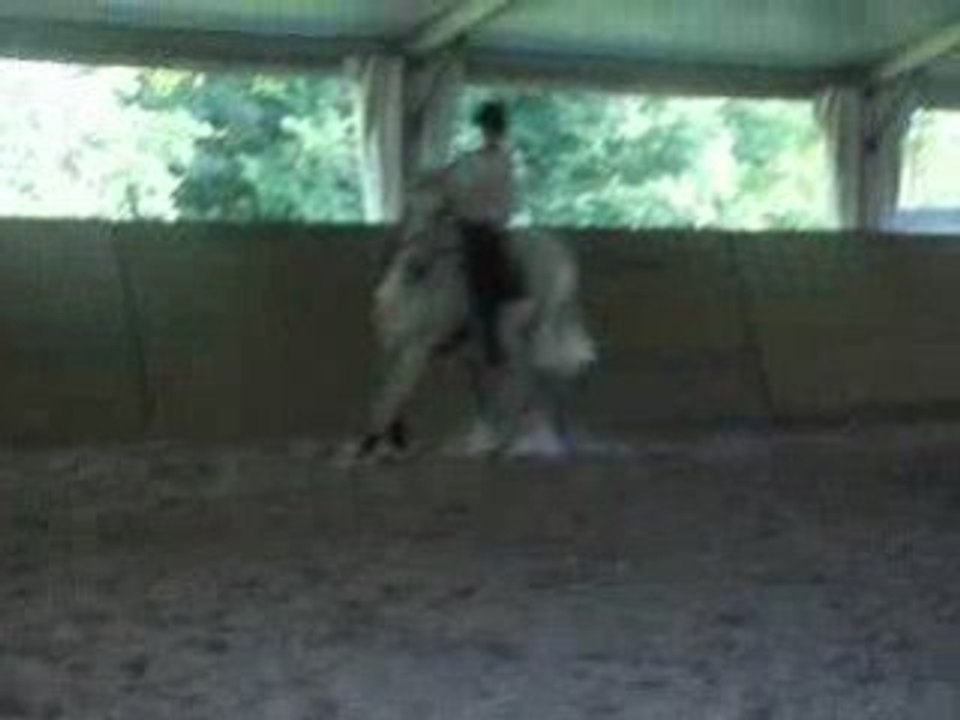 rio et moi au galop