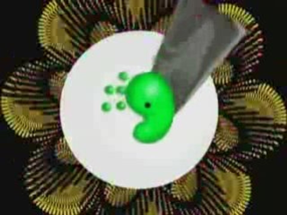 THE:HET - Sorry