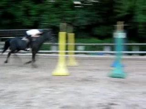 hermione branches basses