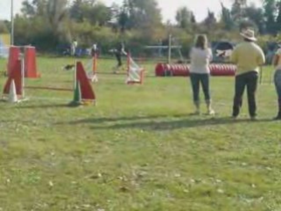 Silversorayajumping
