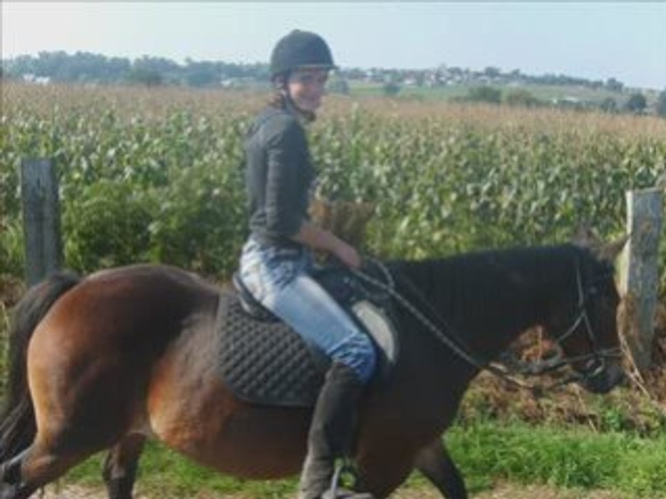 Seance du 27-28 sept 2008 chevaux