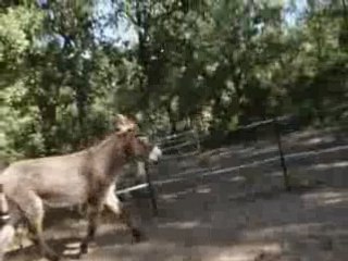 1ere leçon à provence