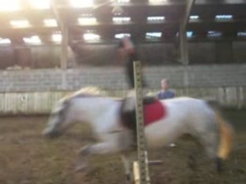 Les poneys fin d'après midi !!!