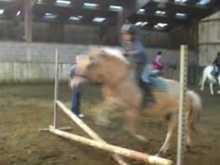 Les poneys fin d'après midi !!!
