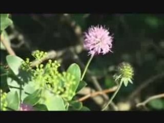 Idée de balade : Pichauris (Bouches-du-Rhône)