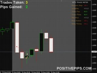 Daily Forex Signals - FREE Live Training