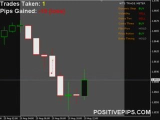 Global Forex Signals - FREE Live Training