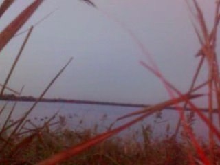 chasse a l eau et accent du sud garantie