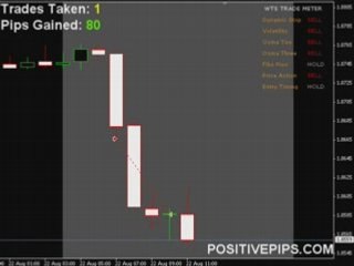 Forex Signals Software - FREE Live Training