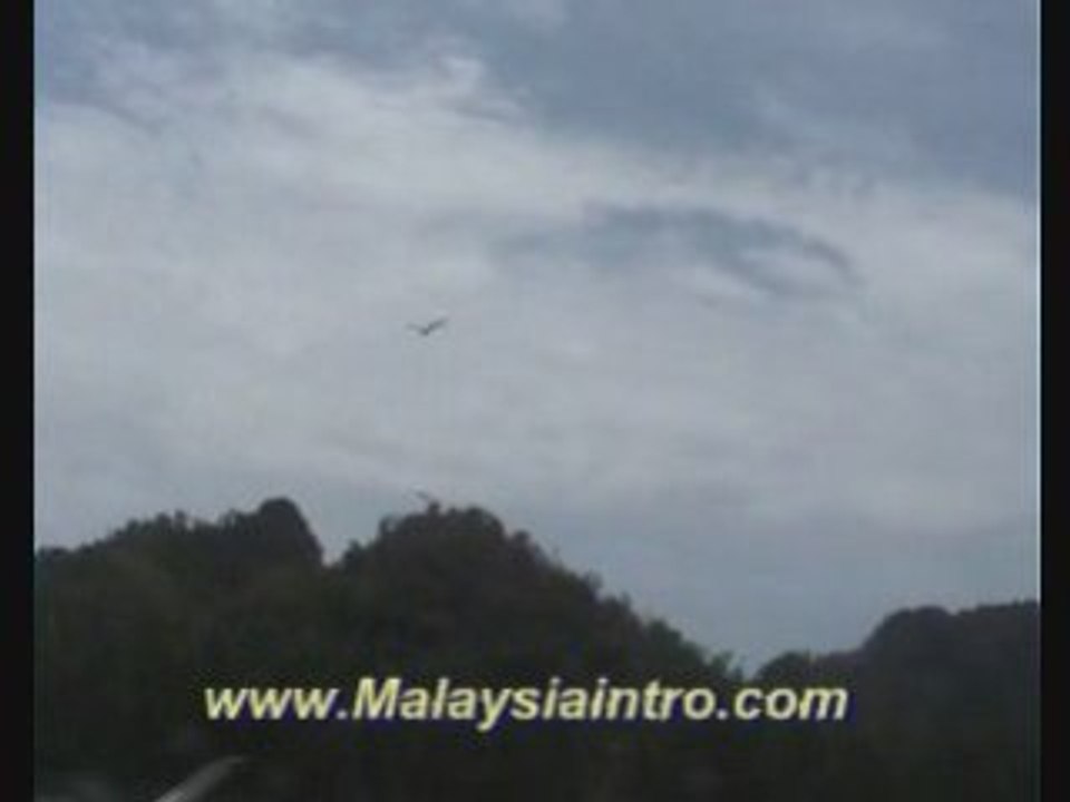 Langkawi Eagle Feeding , Kedah , Malaysia