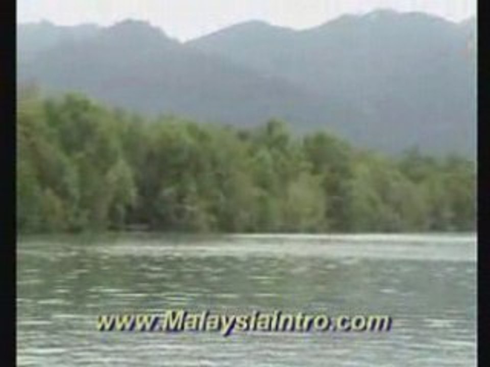 Langkawi Eagle Feeding , Kedah , Malaysia