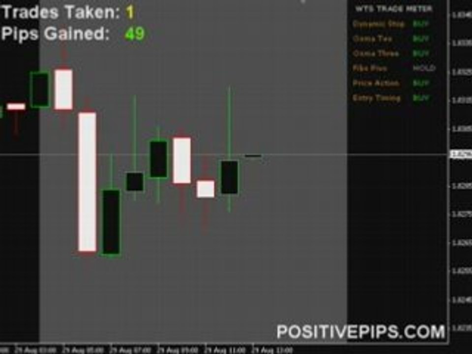 Free Forex Trading Signals - FREE Live Training