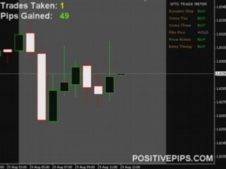 Free Forex Trading Signals - FREE Live Training