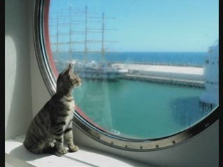 Ferry corsten  everything goes