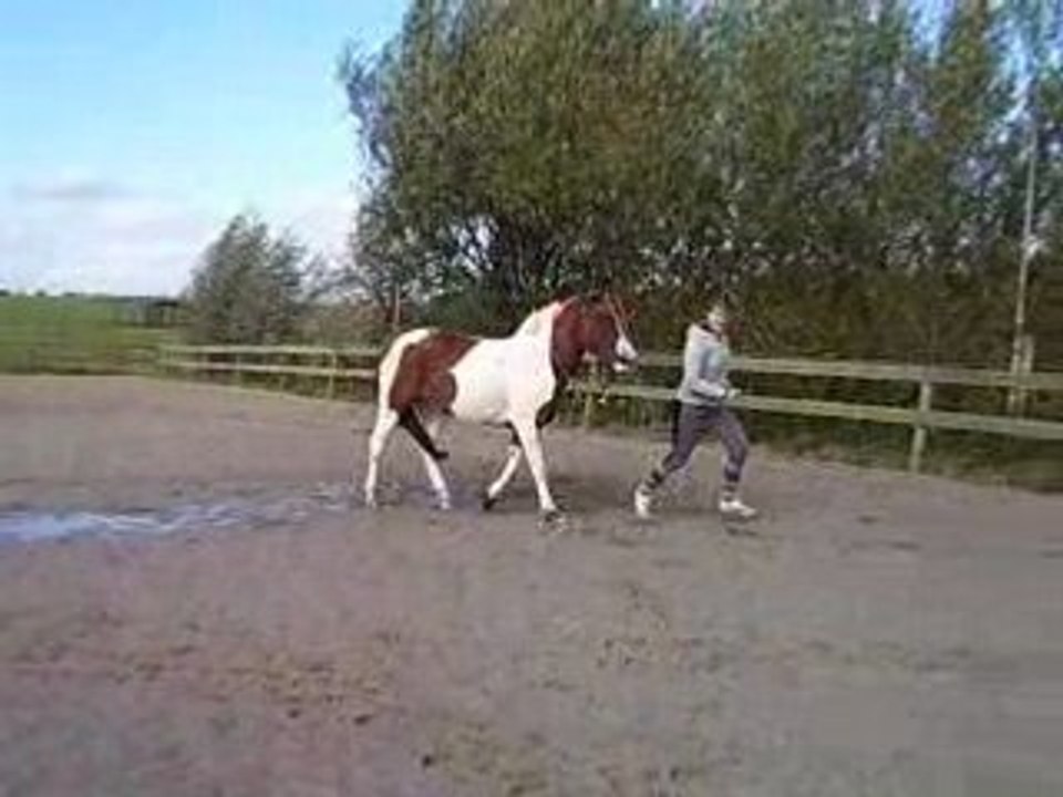 IMG 336