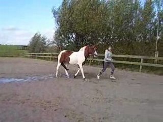 IMG 336