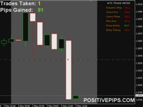 King Forex Signals - FREE Live Training