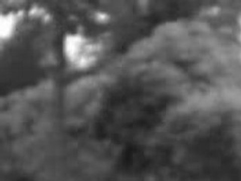 Ali-Teck Sasou-Teck Libou-Teck