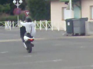 JM en cabro