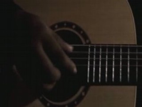 Melissa laveaux - camphor and copper