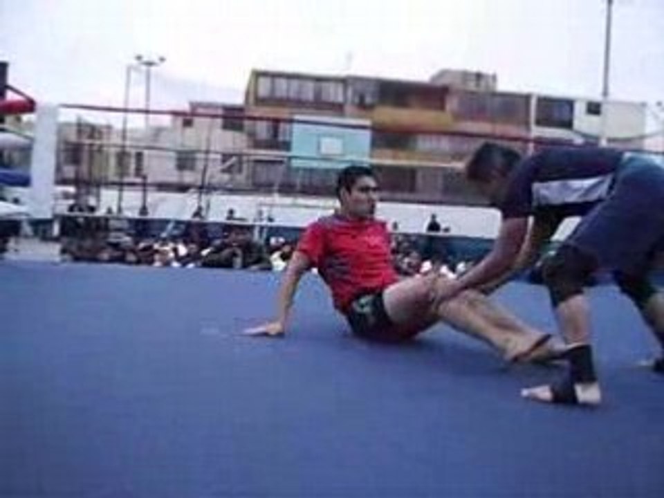 Luta Livre & Brazilian Jiu Jitsu No Gi