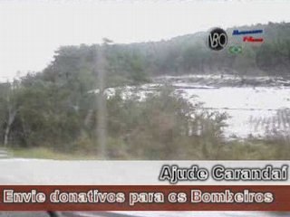 Plantão De Hora Em Hora - 01/10/2008