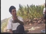 -Documentaire: la Culture du Cannabis au Maroc 1/2