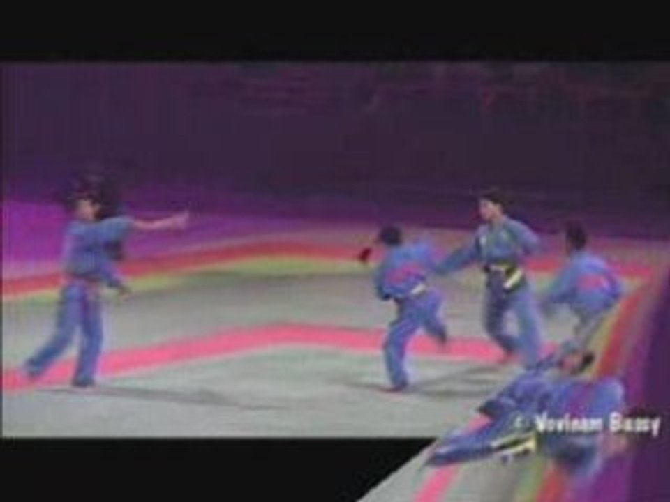 Démonsrtation Viet Vo Dao Bercy