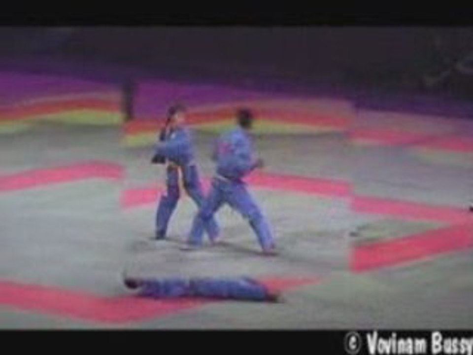 Vovinam Viet Vo Dao Démonstration Bercy Self Defense