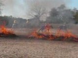 Journée du cheval au Poney Club Les Douèmes