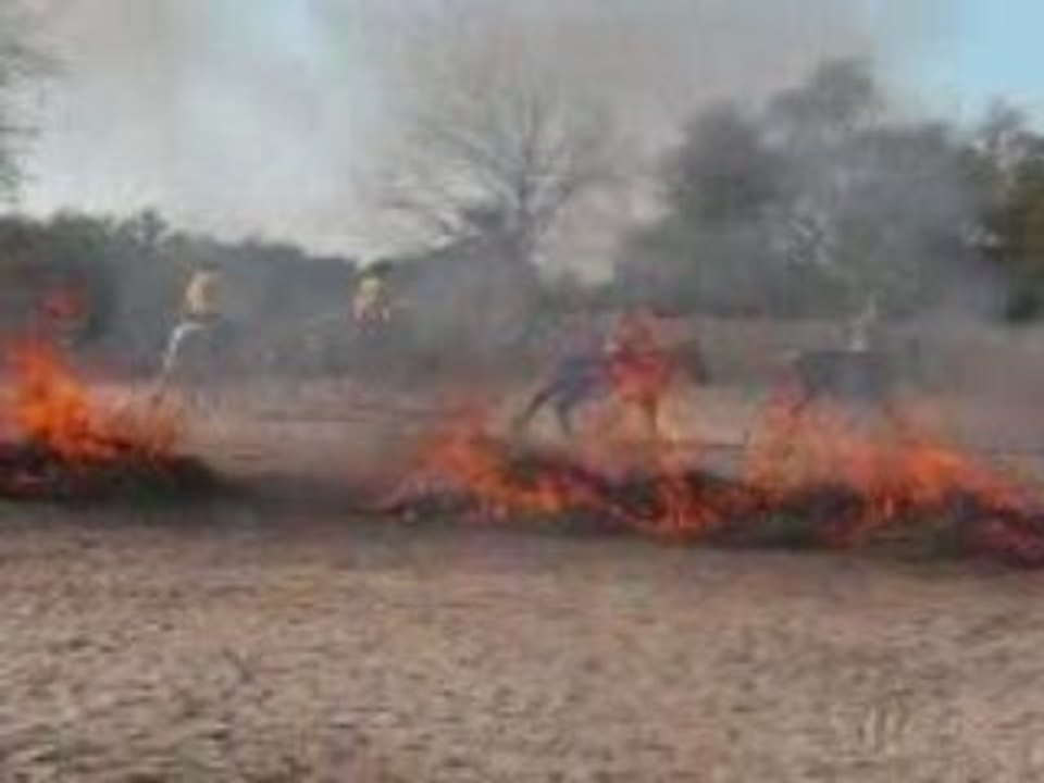 Journée du cheval au Poney Club Les Douèmes
