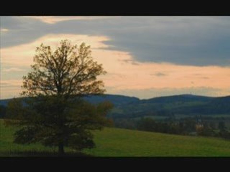 Ferry Tale and tonks - vol de nuit (manuel le saux remix)
