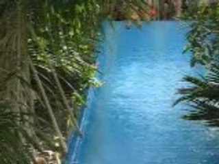 Center park aout 2008 grand toboggan bleu interieur