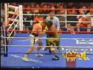 Andrzej Gołota w akcji.