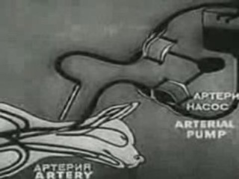 Regarder bien !!!!!!