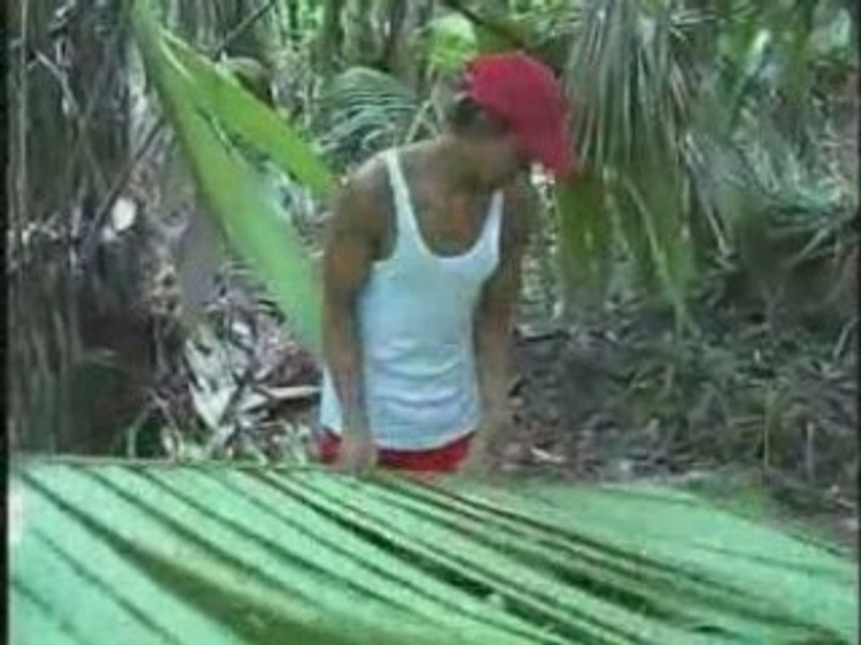 Delta Orinoco clip
