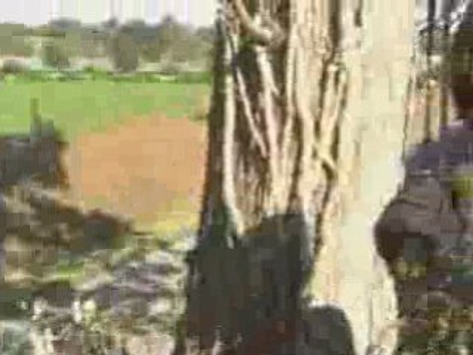 106 n78 rallye de la baie (merci g.miguel5)