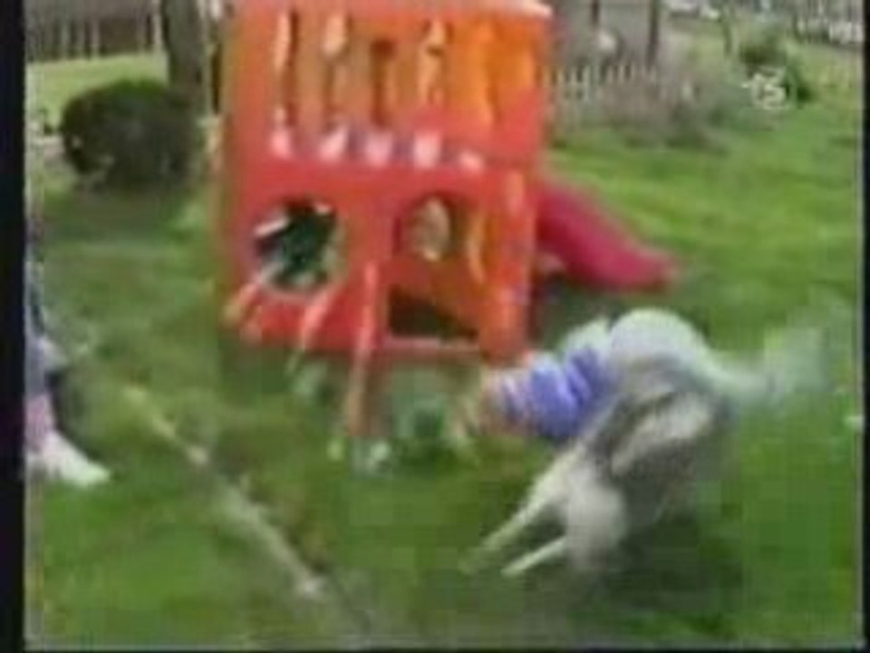 Hoppalas mit Hunden