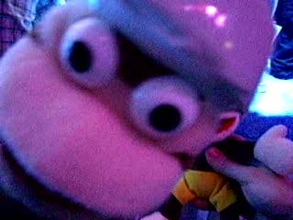 Singes présentateurs