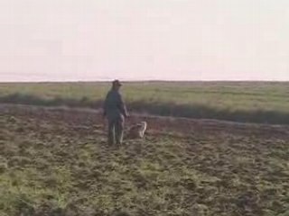 Ouverture de la chasse au Cateau