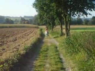 Ballade Boy galop